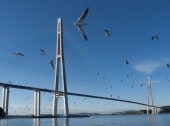 Russky Island - Bridge to the island