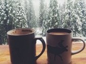 The winter day with Husky - Hot tea