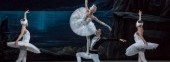 Ballet Theater named after Leonid Yakobson