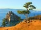 Pine is tied with shaman ribbons Olkhon Island.