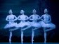Swan Lake (Ballet in 4 acts)