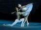 Swan Lake (Ballet in 4 acts)