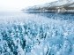 Frozen Lake Baikal