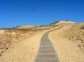 Sand dunes on Curonian Spit