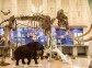 The Mammoth Museum, Yakutsk