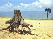 Sandy beach of Olkhon Island.