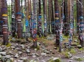Arshan. Republic of Buryatia