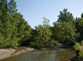 Paratunka - one of two relatively large rivers flowing into the bay Avachinskaya