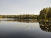 One of the Nuuksio lakes surrounded by forest.