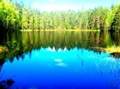 A lake view in Nuuksio