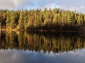 Helsinki: The Nuuksio National Park