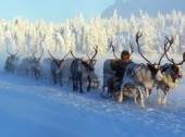 Yakutia