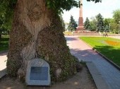 Poplar in the Square of Fallen Fighters