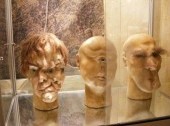 The Kunstkammer (Museum of Anthropology and Ethnography)