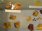 Amber Museum