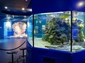 Museum of World Ocean