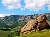 Turtle Rock