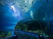 Primorsky Aquarium