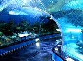 Primorsky Aquarium