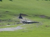 Tsenkher Hot Springs