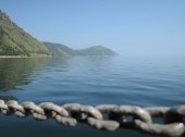 Cape Polovinnyi