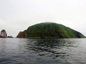 Starichkov Island