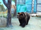 Ekaterinburg Zoo