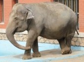 Ekaterinburg Zoo