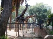 Ekaterinburg Zoo