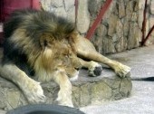 Ekaterinburg Zoo