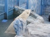 Ekaterinburg Zoo