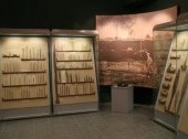 Regional Studies Museum
