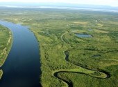 Lena river