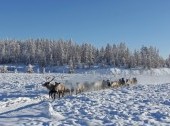 Oymyakon - the pole of cold