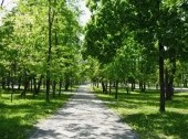 Gubernatorsky Park of Petrozavodsk