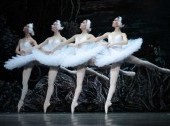 Swan Lake - P.Tchaikovsky (Ballet in three acts)