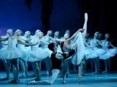 Swan Lake - P.Tchaikovsky (Ballet in three acts)