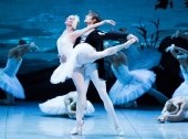 Swan Lake