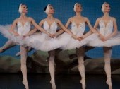 Ballet Gala - best dances from different Ballets, performed by the Hermitage Ballet Stars