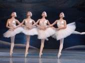 Pyotr Tchaikovsky "Swan Lake"