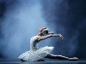 Pyotr Tchaikovsky "Swan Lake"