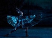 Pyotr Tchaikovsky "Swan Lake"