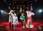 Christmas & New Year circus performance for children