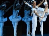 The legend of the Swan Lake and the Ugly Duckling