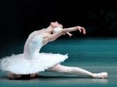 P.Tchaikovsky "Swan Lake" Ballet in three acts. Russian classical ballet named after M. Petipa