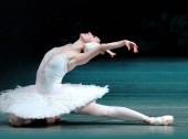 Swan Lake