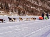 Dog Sledding and Lake Baikal excursion