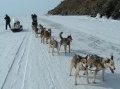 Dog Sledding and Hiking on Lake Baikal ice