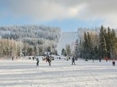 Mount White