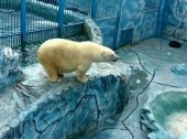 Zoo of Yekaterinburg